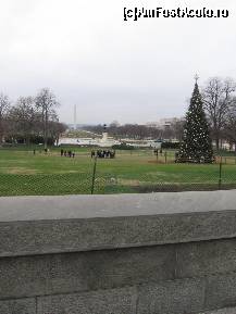[P14] Washington-parcul din fata Capitoliului » foto by Michi
 - 
<span class="allrVoted glyphicon glyphicon-heart hidden" id="av83759"></span>
<a class="m-l-10 hidden" id="sv83759" onclick="voting_Foto_DelVot(,83759,6029)" role="button">șterge vot <span class="glyphicon glyphicon-remove"></span></a>
<a id="v983759" class=" c-red"  onclick="voting_Foto_SetVot(83759)" role="button"><span class="glyphicon glyphicon-heart-empty"></span> <b>LIKE</b> = Votează poza</a> <img class="hidden"  id="f83759W9" src="/imagini/loader.gif" border="0" /><span class="AjErrMes hidden" id="e83759ErM"></span>