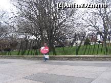[P18] Washington- demonstrant solitar la Casa Alba » foto by Michi
 - 
<span class="allrVoted glyphicon glyphicon-heart hidden" id="av83767"></span>
<a class="m-l-10 hidden" id="sv83767" onclick="voting_Foto_DelVot(,83767,6029)" role="button">șterge vot <span class="glyphicon glyphicon-remove"></span></a>
<a id="v983767" class=" c-red"  onclick="voting_Foto_SetVot(83767)" role="button"><span class="glyphicon glyphicon-heart-empty"></span> <b>LIKE</b> = Votează poza</a> <img class="hidden"  id="f83767W9" src="/imagini/loader.gif" border="0" /><span class="AjErrMes hidden" id="e83767ErM"></span>