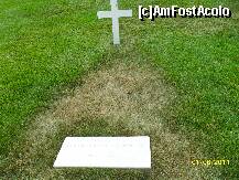 [P30] Cimitirul Arlington - mormantul lui Robert Kenedy » foto by delia58
 - 
<span class="allrVoted glyphicon glyphicon-heart hidden" id="av219650"></span>
<a class="m-l-10 hidden" id="sv219650" onclick="voting_Foto_DelVot(,219650,6029)" role="button">șterge vot <span class="glyphicon glyphicon-remove"></span></a>
<a id="v9219650" class=" c-red"  onclick="voting_Foto_SetVot(219650)" role="button"><span class="glyphicon glyphicon-heart-empty"></span> <b>LIKE</b> = Votează poza</a> <img class="hidden"  id="f219650W9" src="/imagini/loader.gif" border="0" /><span class="AjErrMes hidden" id="e219650ErM"></span>
