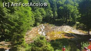 [P20] Cascada Urlătoarea » foto by k-lator
 - 
<span class="allrVoted glyphicon glyphicon-heart hidden" id="av1247638"></span>
<a class="m-l-10 hidden" id="sv1247638" onclick="voting_Foto_DelVot(,1247638,6050)" role="button">șterge vot <span class="glyphicon glyphicon-remove"></span></a>
<a id="v91247638" class=" c-red"  onclick="voting_Foto_SetVot(1247638)" role="button"><span class="glyphicon glyphicon-heart-empty"></span> <b>LIKE</b> = Votează poza</a> <img class="hidden"  id="f1247638W9" src="/imagini/loader.gif" border="0" /><span class="AjErrMes hidden" id="e1247638ErM"></span>