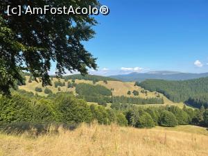 [P22] Peste culmile din Vama Buzăului » foto by k-lator
 - 
<span class="allrVoted glyphicon glyphicon-heart hidden" id="av1247640"></span>
<a class="m-l-10 hidden" id="sv1247640" onclick="voting_Foto_DelVot(,1247640,6050)" role="button">șterge vot <span class="glyphicon glyphicon-remove"></span></a>
<a id="v91247640" class=" c-red"  onclick="voting_Foto_SetVot(1247640)" role="button"><span class="glyphicon glyphicon-heart-empty"></span> <b>LIKE</b> = Votează poza</a> <img class="hidden"  id="f1247640W9" src="/imagini/loader.gif" border="0" /><span class="AjErrMes hidden" id="e1247640ErM"></span>