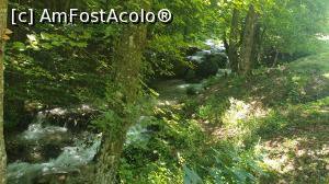 [P05] Pe drumul spre Cascada Urlătoarea » foto by k-lator
 - 
<span class="allrVoted glyphicon glyphicon-heart hidden" id="av1247623"></span>
<a class="m-l-10 hidden" id="sv1247623" onclick="voting_Foto_DelVot(,1247623,6050)" role="button">șterge vot <span class="glyphicon glyphicon-remove"></span></a>
<a id="v91247623" class=" c-red"  onclick="voting_Foto_SetVot(1247623)" role="button"><span class="glyphicon glyphicon-heart-empty"></span> <b>LIKE</b> = Votează poza</a> <img class="hidden"  id="f1247623W9" src="/imagini/loader.gif" border="0" /><span class="AjErrMes hidden" id="e1247623ErM"></span>