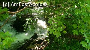 [P06] Pe drumul spre Cascada Urlătoarea » foto by k-lator
 - 
<span class="allrVoted glyphicon glyphicon-heart hidden" id="av1247624"></span>
<a class="m-l-10 hidden" id="sv1247624" onclick="voting_Foto_DelVot(,1247624,6050)" role="button">șterge vot <span class="glyphicon glyphicon-remove"></span></a>
<a id="v91247624" class=" c-red"  onclick="voting_Foto_SetVot(1247624)" role="button"><span class="glyphicon glyphicon-heart-empty"></span> <b>LIKE</b> = Votează poza</a> <img class="hidden"  id="f1247624W9" src="/imagini/loader.gif" border="0" /><span class="AjErrMes hidden" id="e1247624ErM"></span>