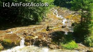 [P09] Cascada Urlătoarea » foto by k-lator
 - 
<span class="allrVoted glyphicon glyphicon-heart hidden" id="av1247627"></span>
<a class="m-l-10 hidden" id="sv1247627" onclick="voting_Foto_DelVot(,1247627,6050)" role="button">șterge vot <span class="glyphicon glyphicon-remove"></span></a>
<a id="v91247627" class=" c-red"  onclick="voting_Foto_SetVot(1247627)" role="button"><span class="glyphicon glyphicon-heart-empty"></span> <b>LIKE</b> = Votează poza</a> <img class="hidden"  id="f1247627W9" src="/imagini/loader.gif" border="0" /><span class="AjErrMes hidden" id="e1247627ErM"></span>