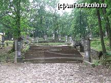 [P26] aleea din padure.....cu superbele statuete ale sfintilor   dispuse lateral » foto by mirelutza
 - 
<span class="allrVoted glyphicon glyphicon-heart hidden" id="av85851"></span>
<a class="m-l-10 hidden" id="sv85851" onclick="voting_Foto_DelVot(,85851,6054)" role="button">șterge vot <span class="glyphicon glyphicon-remove"></span></a>
<a id="v985851" class=" c-red"  onclick="voting_Foto_SetVot(85851)" role="button"><span class="glyphicon glyphicon-heart-empty"></span> <b>LIKE</b> = Votează poza</a> <img class="hidden"  id="f85851W9" src="/imagini/loader.gif" border="0" /><span class="AjErrMes hidden" id="e85851ErM"></span>