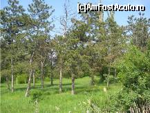 [P14] Alta poza din parc » foto by dorgo
 - 
<span class="allrVoted glyphicon glyphicon-heart hidden" id="av86673"></span>
<a class="m-l-10 hidden" id="sv86673" onclick="voting_Foto_DelVot(,86673,6062)" role="button">șterge vot <span class="glyphicon glyphicon-remove"></span></a>
<a id="v986673" class=" c-red"  onclick="voting_Foto_SetVot(86673)" role="button"><span class="glyphicon glyphicon-heart-empty"></span> <b>LIKE</b> = Votează poza</a> <img class="hidden"  id="f86673W9" src="/imagini/loader.gif" border="0" /><span class="AjErrMes hidden" id="e86673ErM"></span>