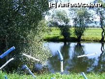 [P09] Natura Park » foto by Cris
 - 
<span class="allrVoted glyphicon glyphicon-heart hidden" id="av244670"></span>
<a class="m-l-10 hidden" id="sv244670" onclick="voting_Foto_DelVot(,244670,6077)" role="button">șterge vot <span class="glyphicon glyphicon-remove"></span></a>
<a id="v9244670" class=" c-red"  onclick="voting_Foto_SetVot(244670)" role="button"><span class="glyphicon glyphicon-heart-empty"></span> <b>LIKE</b> = Votează poza</a> <img class="hidden"  id="f244670W9" src="/imagini/loader.gif" border="0" /><span class="AjErrMes hidden" id="e244670ErM"></span>