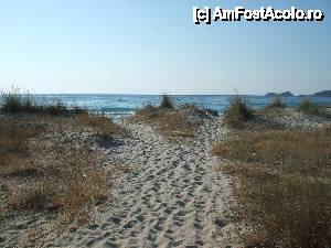 [P18] Intrarea pe plaja » foto by Coste
 - 
<span class="allrVoted glyphicon glyphicon-heart hidden" id="av444500"></span>
<a class="m-l-10 hidden" id="sv444500" onclick="voting_Foto_DelVot(,444500,6080)" role="button">șterge vot <span class="glyphicon glyphicon-remove"></span></a>
<a id="v9444500" class=" c-red"  onclick="voting_Foto_SetVot(444500)" role="button"><span class="glyphicon glyphicon-heart-empty"></span> <b>LIKE</b> = Votează poza</a> <img class="hidden"  id="f444500W9" src="/imagini/loader.gif" border="0" /><span class="AjErrMes hidden" id="e444500ErM"></span>