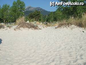 [P21] Plaja » foto by Coste
 - 
<span class="allrVoted glyphicon glyphicon-heart hidden" id="av444505"></span>
<a class="m-l-10 hidden" id="sv444505" onclick="voting_Foto_DelVot(,444505,6080)" role="button">șterge vot <span class="glyphicon glyphicon-remove"></span></a>
<a id="v9444505" class=" c-red"  onclick="voting_Foto_SetVot(444505)" role="button"><span class="glyphicon glyphicon-heart-empty"></span> <b>LIKE</b> = Votează poza</a> <img class="hidden"  id="f444505W9" src="/imagini/loader.gif" border="0" /><span class="AjErrMes hidden" id="e444505ErM"></span>