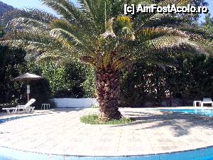 [P29]  ,,Insula piscinei' » foto by Coste
 - 
<span class="allrVoted glyphicon glyphicon-heart hidden" id="av444521"></span>
<a class="m-l-10 hidden" id="sv444521" onclick="voting_Foto_DelVot(,444521,6080)" role="button">șterge vot <span class="glyphicon glyphicon-remove"></span></a>
<a id="v9444521" class=" c-red"  onclick="voting_Foto_SetVot(444521)" role="button"><span class="glyphicon glyphicon-heart-empty"></span> <b>LIKE</b> = Votează poza</a> <img class="hidden"  id="f444521W9" src="/imagini/loader.gif" border="0" /><span class="AjErrMes hidden" id="e444521ErM"></span>