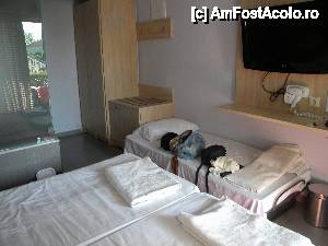 [P10]  -- <small>// FĂRĂ DESCRIERE</small> » foto by krisstinna
 - 
<span class="allrVoted glyphicon glyphicon-heart hidden" id="av464467"></span>
<a class="m-l-10 hidden" id="sv464467" onclick="voting_Foto_DelVot(,464467,6080)" role="button">șterge vot <span class="glyphicon glyphicon-remove"></span></a>
<a id="v9464467" class=" c-red"  onclick="voting_Foto_SetVot(464467)" role="button"><span class="glyphicon glyphicon-heart-empty"></span> <b>LIKE</b> = Votează poza</a> <img class="hidden"  id="f464467W9" src="/imagini/loader.gif" border="0" /><span class="AjErrMes hidden" id="e464467ErM"></span>