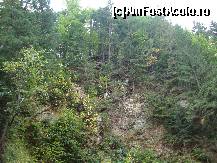 [P44] Pădurea pare a se prăvăli în orice clipă.  » foto by Floryn81
 - 
<span class="allrVoted glyphicon glyphicon-heart hidden" id="av427189"></span>
<a class="m-l-10 hidden" id="sv427189" onclick="voting_Foto_DelVot(,427189,6086)" role="button">șterge vot <span class="glyphicon glyphicon-remove"></span></a>
<a id="v9427189" class=" c-red"  onclick="voting_Foto_SetVot(427189)" role="button"><span class="glyphicon glyphicon-heart-empty"></span> <b>LIKE</b> = Votează poza</a> <img class="hidden"  id="f427189W9" src="/imagini/loader.gif" border="0" /><span class="AjErrMes hidden" id="e427189ErM"></span>