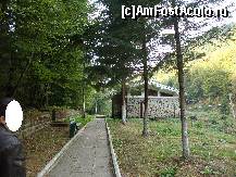 [P45] Ne îndreptăm către Mofetă.  » foto by Floryn81
 - 
<span class="allrVoted glyphicon glyphicon-heart hidden" id="av427190"></span>
<a class="m-l-10 hidden" id="sv427190" onclick="voting_Foto_DelVot(,427190,6086)" role="button">șterge vot <span class="glyphicon glyphicon-remove"></span></a>
<a id="v9427190" class=" c-red"  onclick="voting_Foto_SetVot(427190)" role="button"><span class="glyphicon glyphicon-heart-empty"></span> <b>LIKE</b> = Votează poza</a> <img class="hidden"  id="f427190W9" src="/imagini/loader.gif" border="0" /><span class="AjErrMes hidden" id="e427190ErM"></span>