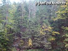 [P50] Admirăm peisajul minunat din zonă.  » foto by Floryn81
 - 
<span class="allrVoted glyphicon glyphicon-heart hidden" id="av427208"></span>
<a class="m-l-10 hidden" id="sv427208" onclick="voting_Foto_DelVot(,427208,6086)" role="button">șterge vot <span class="glyphicon glyphicon-remove"></span></a>
<a id="v9427208" class=" c-red"  onclick="voting_Foto_SetVot(427208)" role="button"><span class="glyphicon glyphicon-heart-empty"></span> <b>LIKE</b> = Votează poza</a> <img class="hidden"  id="f427208W9" src="/imagini/loader.gif" border="0" /><span class="AjErrMes hidden" id="e427208ErM"></span>