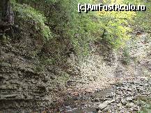 [P51]  -- <small>// FĂRĂ DESCRIERE</small> » foto by Floryn81
 - 
<span class="allrVoted glyphicon glyphicon-heart hidden" id="av427210"></span>
<a class="m-l-10 hidden" id="sv427210" onclick="voting_Foto_DelVot(,427210,6086)" role="button">șterge vot <span class="glyphicon glyphicon-remove"></span></a>
<a id="v9427210" class=" c-red"  onclick="voting_Foto_SetVot(427210)" role="button"><span class="glyphicon glyphicon-heart-empty"></span> <b>LIKE</b> = Votează poza</a> <img class="hidden"  id="f427210W9" src="/imagini/loader.gif" border="0" /><span class="AjErrMes hidden" id="e427210ErM"></span>