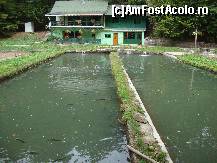 [P52] Privim peste gardul Păstrăvăriei de la Slănic Moldova.  » foto by Floryn81
 - 
<span class="allrVoted glyphicon glyphicon-heart hidden" id="av427213"></span>
<a class="m-l-10 hidden" id="sv427213" onclick="voting_Foto_DelVot(,427213,6086)" role="button">șterge vot <span class="glyphicon glyphicon-remove"></span></a>
<a id="v9427213" class=" c-red"  onclick="voting_Foto_SetVot(427213)" role="button"><span class="glyphicon glyphicon-heart-empty"></span> <b>LIKE</b> = Votează poza</a> <img class="hidden"  id="f427213W9" src="/imagini/loader.gif" border="0" /><span class="AjErrMes hidden" id="e427213ErM"></span>