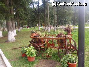 [P05] e chiar dichisit parcul » foto by diana-camelia*
 - 
<span class="allrVoted glyphicon glyphicon-heart hidden" id="av463998"></span>
<a class="m-l-10 hidden" id="sv463998" onclick="voting_Foto_DelVot(,463998,6086)" role="button">șterge vot <span class="glyphicon glyphicon-remove"></span></a>
<a id="v9463998" class=" c-red"  onclick="voting_Foto_SetVot(463998)" role="button"><span class="glyphicon glyphicon-heart-empty"></span> <b>LIKE</b> = Votează poza</a> <img class="hidden"  id="f463998W9" src="/imagini/loader.gif" border="0" /><span class="AjErrMes hidden" id="e463998ErM"></span>