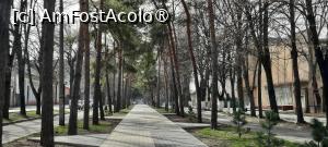 [P61] Tighina - Bender, Stradă cu alee pietonală centrală și patru șiruri de copaci » foto by mprofeanu
 - 
<span class="allrVoted glyphicon glyphicon-heart hidden" id="av1510483"></span>
<a class="m-l-10 hidden" id="sv1510483" onclick="voting_Foto_DelVot(,1510483,6113)" role="button">șterge vot <span class="glyphicon glyphicon-remove"></span></a>
<a id="v91510483" class=" c-red"  onclick="voting_Foto_SetVot(1510483)" role="button"><span class="glyphicon glyphicon-heart-empty"></span> <b>LIKE</b> = Votează poza</a> <img class="hidden"  id="f1510483W9" src="/imagini/loader.gif" border="0" /><span class="AjErrMes hidden" id="e1510483ErM"></span>