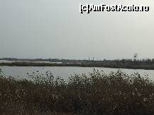 [P11] Lacul Amara - peisaje superbe pe malul lacului » foto by valimi
 - 
<span class="allrVoted glyphicon glyphicon-heart hidden" id="av160799"></span>
<a class="m-l-10 hidden" id="sv160799" onclick="voting_Foto_DelVot(,160799,6129)" role="button">șterge vot <span class="glyphicon glyphicon-remove"></span></a>
<a id="v9160799" class=" c-red"  onclick="voting_Foto_SetVot(160799)" role="button"><span class="glyphicon glyphicon-heart-empty"></span> <b>LIKE</b> = Votează poza</a> <img class="hidden"  id="f160799W9" src="/imagini/loader.gif" border="0" /><span class="AjErrMes hidden" id="e160799ErM"></span>