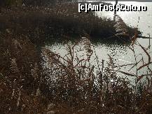 [P12] Lacul Amara - peisaje superbe pe malul lacului » foto by valimi
 - 
<span class="allrVoted glyphicon glyphicon-heart hidden" id="av160800"></span>
<a class="m-l-10 hidden" id="sv160800" onclick="voting_Foto_DelVot(,160800,6129)" role="button">șterge vot <span class="glyphicon glyphicon-remove"></span></a>
<a id="v9160800" class=" c-red"  onclick="voting_Foto_SetVot(160800)" role="button"><span class="glyphicon glyphicon-heart-empty"></span> <b>LIKE</b> = Votează poza</a> <img class="hidden"  id="f160800W9" src="/imagini/loader.gif" border="0" /><span class="AjErrMes hidden" id="e160800ErM"></span>
