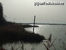 [P13] Lacul Amara - peisaje superbe pe malul lacului » foto by valimi
 - 
<span class="allrVoted glyphicon glyphicon-heart hidden" id="av160801"></span>
<a class="m-l-10 hidden" id="sv160801" onclick="voting_Foto_DelVot(,160801,6129)" role="button">șterge vot <span class="glyphicon glyphicon-remove"></span></a>
<a id="v9160801" class=" c-red"  onclick="voting_Foto_SetVot(160801)" role="button"><span class="glyphicon glyphicon-heart-empty"></span> <b>LIKE</b> = Votează poza</a> <img class="hidden"  id="f160801W9" src="/imagini/loader.gif" border="0" /><span class="AjErrMes hidden" id="e160801ErM"></span>