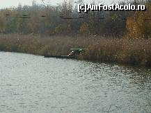 [P14] Lacul Amara - peisaje superbe pe malul lacului » foto by valimi
 - 
<span class="allrVoted glyphicon glyphicon-heart hidden" id="av160802"></span>
<a class="m-l-10 hidden" id="sv160802" onclick="voting_Foto_DelVot(,160802,6129)" role="button">șterge vot <span class="glyphicon glyphicon-remove"></span></a>
<a id="v9160802" class=" c-red"  onclick="voting_Foto_SetVot(160802)" role="button"><span class="glyphicon glyphicon-heart-empty"></span> <b>LIKE</b> = Votează poza</a> <img class="hidden"  id="f160802W9" src="/imagini/loader.gif" border="0" /><span class="AjErrMes hidden" id="e160802ErM"></span>