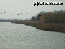 [P15] Lacul Amara - peisaje superbe pe malul lacului » foto by valimi
 - 
<span class="allrVoted glyphicon glyphicon-heart hidden" id="av160803"></span>
<a class="m-l-10 hidden" id="sv160803" onclick="voting_Foto_DelVot(,160803,6129)" role="button">șterge vot <span class="glyphicon glyphicon-remove"></span></a>
<a id="v9160803" class=" c-red"  onclick="voting_Foto_SetVot(160803)" role="button"><span class="glyphicon glyphicon-heart-empty"></span> <b>LIKE</b> = Votează poza</a> <img class="hidden"  id="f160803W9" src="/imagini/loader.gif" border="0" /><span class="AjErrMes hidden" id="e160803ErM"></span>