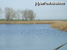 [P18] Lacul Amara - un pescar cu o barcuta pe coada laclui spre Mircesti » foto by valimi
 - 
<span class="allrVoted glyphicon glyphicon-heart hidden" id="av160806"></span>
<a class="m-l-10 hidden" id="sv160806" onclick="voting_Foto_DelVot(,160806,6129)" role="button">șterge vot <span class="glyphicon glyphicon-remove"></span></a>
<a id="v9160806" class=" c-red"  onclick="voting_Foto_SetVot(160806)" role="button"><span class="glyphicon glyphicon-heart-empty"></span> <b>LIKE</b> = Votează poza</a> <img class="hidden"  id="f160806W9" src="/imagini/loader.gif" border="0" /><span class="AjErrMes hidden" id="e160806ErM"></span>