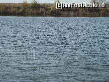 [P04] Lacul Amara - inttr-una din zonele cu latime mai mare » foto by valimi
 - 
<span class="allrVoted glyphicon glyphicon-heart hidden" id="av160792"></span>
<a class="m-l-10 hidden" id="sv160792" onclick="voting_Foto_DelVot(,160792,6129)" role="button">șterge vot <span class="glyphicon glyphicon-remove"></span></a>
<a id="v9160792" class=" c-red"  onclick="voting_Foto_SetVot(160792)" role="button"><span class="glyphicon glyphicon-heart-empty"></span> <b>LIKE</b> = Votează poza</a> <img class="hidden"  id="f160792W9" src="/imagini/loader.gif" border="0" /><span class="AjErrMes hidden" id="e160792ErM"></span>