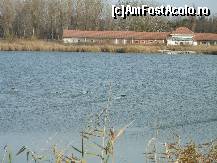 [P07] Lacul Amara - Ratele salbatice sunt la ele acasa » foto by valimi
 - 
<span class="allrVoted glyphicon glyphicon-heart hidden" id="av160795"></span>
<a class="m-l-10 hidden" id="sv160795" onclick="voting_Foto_DelVot(,160795,6129)" role="button">șterge vot <span class="glyphicon glyphicon-remove"></span></a>
<a id="v9160795" class=" c-red"  onclick="voting_Foto_SetVot(160795)" role="button"><span class="glyphicon glyphicon-heart-empty"></span> <b>LIKE</b> = Votează poza</a> <img class="hidden"  id="f160795W9" src="/imagini/loader.gif" border="0" /><span class="AjErrMes hidden" id="e160795ErM"></span>