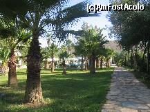 [P20] Alei in gradina. Toate drumurile duc la...mare. » foto by balasa violeta
 - 
<span class="allrVoted glyphicon glyphicon-heart hidden" id="av259931"></span>
<a class="m-l-10 hidden" id="sv259931" onclick="voting_Foto_DelVot(,259931,6150)" role="button">șterge vot <span class="glyphicon glyphicon-remove"></span></a>
<a id="v9259931" class=" c-red"  onclick="voting_Foto_SetVot(259931)" role="button"><span class="glyphicon glyphicon-heart-empty"></span> <b>LIKE</b> = Votează poza</a> <img class="hidden"  id="f259931W9" src="/imagini/loader.gif" border="0" /><span class="AjErrMes hidden" id="e259931ErM"></span>