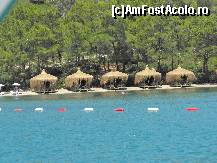 [P04] Alt coltisor de rai » foto by hopssy
 - 
<span class="allrVoted glyphicon glyphicon-heart hidden" id="av87484"></span>
<a class="m-l-10 hidden" id="sv87484" onclick="voting_Foto_DelVot(,87484,6150)" role="button">șterge vot <span class="glyphicon glyphicon-remove"></span></a>
<a id="v987484" class=" c-red"  onclick="voting_Foto_SetVot(87484)" role="button"><span class="glyphicon glyphicon-heart-empty"></span> <b>LIKE</b> = Votează poza</a> <img class="hidden"  id="f87484W9" src="/imagini/loader.gif" border="0" /><span class="AjErrMes hidden" id="e87484ErM"></span>