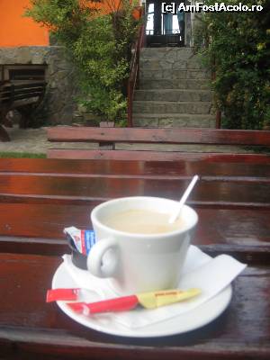 [P17] La o cafea » foto by dorgo
 - 
<span class="allrVoted glyphicon glyphicon-heart hidden" id="av631334"></span>
<a class="m-l-10 hidden" id="sv631334" onclick="voting_Foto_DelVot(,631334,6152)" role="button">șterge vot <span class="glyphicon glyphicon-remove"></span></a>
<a id="v9631334" class=" c-red"  onclick="voting_Foto_SetVot(631334)" role="button"><span class="glyphicon glyphicon-heart-empty"></span> <b>LIKE</b> = Votează poza</a> <img class="hidden"  id="f631334W9" src="/imagini/loader.gif" border="0" /><span class="AjErrMes hidden" id="e631334ErM"></span>