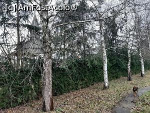[P11] Cimitirul Săracilor » foto by adso
 - 
<span class="allrVoted glyphicon glyphicon-heart hidden" id="av1407444"></span>
<a class="m-l-10 hidden" id="sv1407444" onclick="voting_Foto_DelVot(,1407444,6200)" role="button">șterge vot <span class="glyphicon glyphicon-remove"></span></a>
<a id="v91407444" class=" c-red"  onclick="voting_Foto_SetVot(1407444)" role="button"><span class="glyphicon glyphicon-heart-empty"></span> <b>LIKE</b> = Votează poza</a> <img class="hidden"  id="f1407444W9" src="/imagini/loader.gif" border="0" /><span class="AjErrMes hidden" id="e1407444ErM"></span>