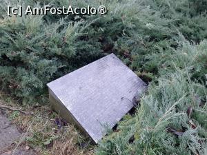 [P14] Cimitirul Săracilor » foto by adso
 - 
<span class="allrVoted glyphicon glyphicon-heart hidden" id="av1407447"></span>
<a class="m-l-10 hidden" id="sv1407447" onclick="voting_Foto_DelVot(,1407447,6200)" role="button">șterge vot <span class="glyphicon glyphicon-remove"></span></a>
<a id="v91407447" class=" c-red"  onclick="voting_Foto_SetVot(1407447)" role="button"><span class="glyphicon glyphicon-heart-empty"></span> <b>LIKE</b> = Votează poza</a> <img class="hidden"  id="f1407447W9" src="/imagini/loader.gif" border="0" /><span class="AjErrMes hidden" id="e1407447ErM"></span>