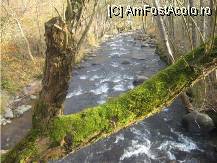 [P01] prastia lui Gulliver » foto by dorgo
 - 
<span class="allrVoted glyphicon glyphicon-heart hidden" id="av89581"></span>
<a class="m-l-10 hidden" id="sv89581" onclick="voting_Foto_DelVot(,89581,6324)" role="button">șterge vot <span class="glyphicon glyphicon-remove"></span></a>
<a id="v989581" class=" c-red"  onclick="voting_Foto_SetVot(89581)" role="button"><span class="glyphicon glyphicon-heart-empty"></span> <b>LIKE</b> = Votează poza</a> <img class="hidden"  id="f89581W9" src="/imagini/loader.gif" border="0" /><span class="AjErrMes hidden" id="e89581ErM"></span>