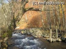 [P10] mi-a dus apa frunzele » foto by dorgo
 - 
<span class="allrVoted glyphicon glyphicon-heart hidden" id="av89592"></span>
<a class="m-l-10 hidden" id="sv89592" onclick="voting_Foto_DelVot(,89592,6324)" role="button">șterge vot <span class="glyphicon glyphicon-remove"></span></a>
<a id="v989592" class=" c-red"  onclick="voting_Foto_SetVot(89592)" role="button"><span class="glyphicon glyphicon-heart-empty"></span> <b>LIKE</b> = Votează poza</a> <img class="hidden"  id="f89592W9" src="/imagini/loader.gif" border="0" /><span class="AjErrMes hidden" id="e89592ErM"></span>