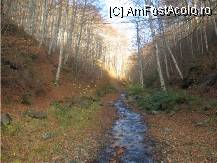 [P14] valea melcilor » foto by dorgo
 - 
<span class="allrVoted glyphicon glyphicon-heart hidden" id="av89596"></span>
<a class="m-l-10 hidden" id="sv89596" onclick="voting_Foto_DelVot(,89596,6324)" role="button">șterge vot <span class="glyphicon glyphicon-remove"></span></a>
<a id="v989596" class=" c-red"  onclick="voting_Foto_SetVot(89596)" role="button"><span class="glyphicon glyphicon-heart-empty"></span> <b>LIKE</b> = Votează poza</a> <img class="hidden"  id="f89596W9" src="/imagini/loader.gif" border="0" /><span class="AjErrMes hidden" id="e89596ErM"></span>