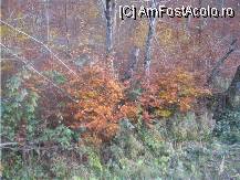 [P15] ce rau e sa fii daltonist! » foto by dorgo
 - 
<span class="allrVoted glyphicon glyphicon-heart hidden" id="av89598"></span>
<a class="m-l-10 hidden" id="sv89598" onclick="voting_Foto_DelVot(,89598,6324)" role="button">șterge vot <span class="glyphicon glyphicon-remove"></span></a>
<a id="v989598" class=" c-red"  onclick="voting_Foto_SetVot(89598)" role="button"><span class="glyphicon glyphicon-heart-empty"></span> <b>LIKE</b> = Votează poza</a> <img class="hidden"  id="f89598W9" src="/imagini/loader.gif" border="0" /><span class="AjErrMes hidden" id="e89598ErM"></span>