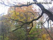 [P18] Bogata » foto by dorgo
 - 
<span class="allrVoted glyphicon glyphicon-heart hidden" id="av89779"></span>
<a class="m-l-10 hidden" id="sv89779" onclick="voting_Foto_DelVot(,89779,6324)" role="button">șterge vot <span class="glyphicon glyphicon-remove"></span></a>
<a id="v989779" class=" c-red"  onclick="voting_Foto_SetVot(89779)" role="button"><span class="glyphicon glyphicon-heart-empty"></span> <b>LIKE</b> = Votează poza</a> <img class="hidden"  id="f89779W9" src="/imagini/loader.gif" border="0" /><span class="AjErrMes hidden" id="e89779ErM"></span>