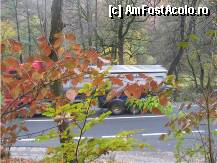 [P19] Trece o cisterna » foto by dorgo
 - 
<span class="allrVoted glyphicon glyphicon-heart hidden" id="av89780"></span>
<a class="m-l-10 hidden" id="sv89780" onclick="voting_Foto_DelVot(,89780,6324)" role="button">șterge vot <span class="glyphicon glyphicon-remove"></span></a>
<a id="v989780" class=" c-red"  onclick="voting_Foto_SetVot(89780)" role="button"><span class="glyphicon glyphicon-heart-empty"></span> <b>LIKE</b> = Votează poza</a> <img class="hidden"  id="f89780W9" src="/imagini/loader.gif" border="0" /><span class="AjErrMes hidden" id="e89780ErM"></span>