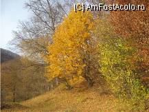 [P02] la liziera unei paduri » foto by dorgo
 - 
<span class="allrVoted glyphicon glyphicon-heart hidden" id="av89582"></span>
<a class="m-l-10 hidden" id="sv89582" onclick="voting_Foto_DelVot(,89582,6324)" role="button">șterge vot <span class="glyphicon glyphicon-remove"></span></a>
<a id="v989582" class=" c-red"  onclick="voting_Foto_SetVot(89582)" role="button"><span class="glyphicon glyphicon-heart-empty"></span> <b>LIKE</b> = Votează poza</a> <img class="hidden"  id="f89582W9" src="/imagini/loader.gif" border="0" /><span class="AjErrMes hidden" id="e89582ErM"></span>