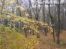 [P20] Bogata » foto by dorgo
 - 
<span class="allrVoted glyphicon glyphicon-heart hidden" id="av89781"></span>
<a class="m-l-10 hidden" id="sv89781" onclick="voting_Foto_DelVot(,89781,6324)" role="button">șterge vot <span class="glyphicon glyphicon-remove"></span></a>
<a id="v989781" class=" c-red"  onclick="voting_Foto_SetVot(89781)" role="button"><span class="glyphicon glyphicon-heart-empty"></span> <b>LIKE</b> = Votează poza</a> <img class="hidden"  id="f89781W9" src="/imagini/loader.gif" border="0" /><span class="AjErrMes hidden" id="e89781ErM"></span>