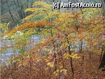 [P22] culorile acopera griul soselei » foto by dorgo
 - 
<span class="allrVoted glyphicon glyphicon-heart hidden" id="av89783"></span>
<a class="m-l-10 hidden" id="sv89783" onclick="voting_Foto_DelVot(,89783,6324)" role="button">șterge vot <span class="glyphicon glyphicon-remove"></span></a>
<a id="v989783" class=" c-red"  onclick="voting_Foto_SetVot(89783)" role="button"><span class="glyphicon glyphicon-heart-empty"></span> <b>LIKE</b> = Votează poza</a> <img class="hidden"  id="f89783W9" src="/imagini/loader.gif" border="0" /><span class="AjErrMes hidden" id="e89783ErM"></span>