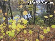 [P26] banuti de aur » foto by dorgo
 - 
<span class="allrVoted glyphicon glyphicon-heart hidden" id="av89787"></span>
<a class="m-l-10 hidden" id="sv89787" onclick="voting_Foto_DelVot(,89787,6324)" role="button">șterge vot <span class="glyphicon glyphicon-remove"></span></a>
<a id="v989787" class=" c-red"  onclick="voting_Foto_SetVot(89787)" role="button"><span class="glyphicon glyphicon-heart-empty"></span> <b>LIKE</b> = Votează poza</a> <img class="hidden"  id="f89787W9" src="/imagini/loader.gif" border="0" /><span class="AjErrMes hidden" id="e89787ErM"></span>