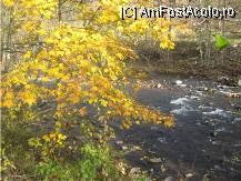 [P03] Bistra e mica, a fost seceta mare » foto by dorgo
 - 
<span class="allrVoted glyphicon glyphicon-heart hidden" id="av89583"></span>
<a class="m-l-10 hidden" id="sv89583" onclick="voting_Foto_DelVot(,89583,6324)" role="button">șterge vot <span class="glyphicon glyphicon-remove"></span></a>
<a id="v989583" class=" c-red"  onclick="voting_Foto_SetVot(89583)" role="button"><span class="glyphicon glyphicon-heart-empty"></span> <b>LIKE</b> = Votează poza</a> <img class="hidden"  id="f89583W9" src="/imagini/loader.gif" border="0" /><span class="AjErrMes hidden" id="e89583ErM"></span>