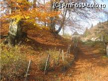 [P05] o poteca de frunze colorate » foto by dorgo
 - 
<span class="allrVoted glyphicon glyphicon-heart hidden" id="av89586"></span>
<a class="m-l-10 hidden" id="sv89586" onclick="voting_Foto_DelVot(,89586,6324)" role="button">șterge vot <span class="glyphicon glyphicon-remove"></span></a>
<a id="v989586" class=" c-red"  onclick="voting_Foto_SetVot(89586)" role="button"><span class="glyphicon glyphicon-heart-empty"></span> <b>LIKE</b> = Votează poza</a> <img class="hidden"  id="f89586W9" src="/imagini/loader.gif" border="0" /><span class="AjErrMes hidden" id="e89586ErM"></span>