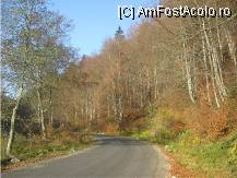 [P06] spre valea melcilor » foto by dorgo
 - 
<span class="allrVoted glyphicon glyphicon-heart hidden" id="av89587"></span>
<a class="m-l-10 hidden" id="sv89587" onclick="voting_Foto_DelVot(,89587,6324)" role="button">șterge vot <span class="glyphicon glyphicon-remove"></span></a>
<a id="v989587" class=" c-red"  onclick="voting_Foto_SetVot(89587)" role="button"><span class="glyphicon glyphicon-heart-empty"></span> <b>LIKE</b> = Votează poza</a> <img class="hidden"  id="f89587W9" src="/imagini/loader.gif" border="0" /><span class="AjErrMes hidden" id="e89587ErM"></span>