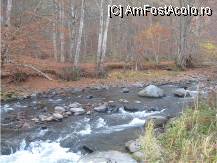 [P09] mai e un pic pana la intalnirea cu Muresul » foto by dorgo
 - 
<span class="allrVoted glyphicon glyphicon-heart hidden" id="av89591"></span>
<a class="m-l-10 hidden" id="sv89591" onclick="voting_Foto_DelVot(,89591,6324)" role="button">șterge vot <span class="glyphicon glyphicon-remove"></span></a>
<a id="v989591" class=" c-red"  onclick="voting_Foto_SetVot(89591)" role="button"><span class="glyphicon glyphicon-heart-empty"></span> <b>LIKE</b> = Votează poza</a> <img class="hidden"  id="f89591W9" src="/imagini/loader.gif" border="0" /><span class="AjErrMes hidden" id="e89591ErM"></span>