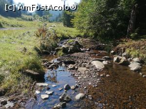 [P11] Valea Iodului » foto by dorgo
 - 
<span class="allrVoted glyphicon glyphicon-heart hidden" id="av1226841"></span>
<a class="m-l-10 hidden" id="sv1226841" onclick="voting_Foto_DelVot(,1226841,6324)" role="button">șterge vot <span class="glyphicon glyphicon-remove"></span></a>
<a id="v91226841" class=" c-red"  onclick="voting_Foto_SetVot(1226841)" role="button"><span class="glyphicon glyphicon-heart-empty"></span> <b>LIKE</b> = Votează poza</a> <img class="hidden"  id="f1226841W9" src="/imagini/loader.gif" border="0" /><span class="AjErrMes hidden" id="e1226841ErM"></span>